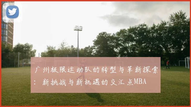 广州极限运动队的转型与革新探索：新挑战与新机遇的交汇点MBA