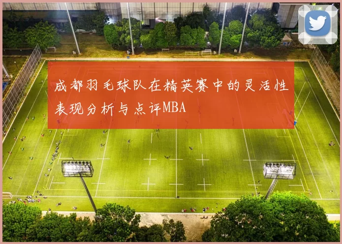 成都羽毛球队在精英赛中的灵活性表现分析与点评MBA