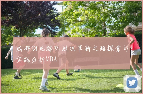 成都羽毛球队进攻革新之路探索与实践分析MBA