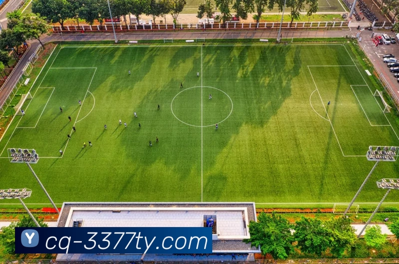 2013年勇士与开拓者激战回顾：经典对决与篮球传奇的交汇