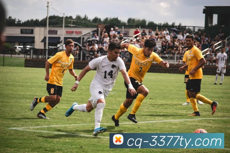 3377体育网站APP 高清赛事图